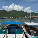 Vietnam Revealed: A Wellness Journey of a Black Girl