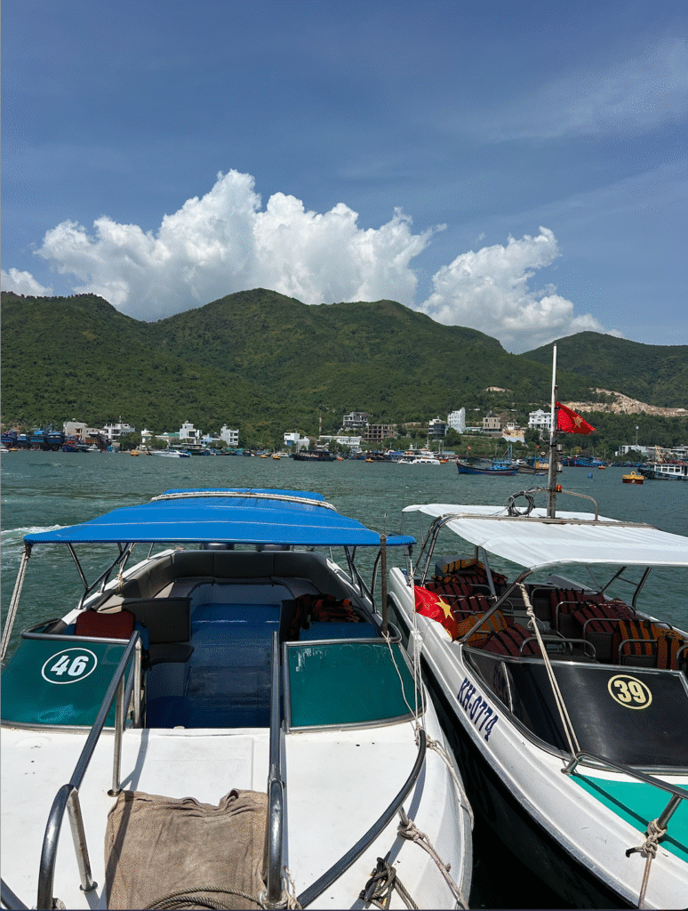 Vietnam Revealed: A Wellness Journey of a Black Girl